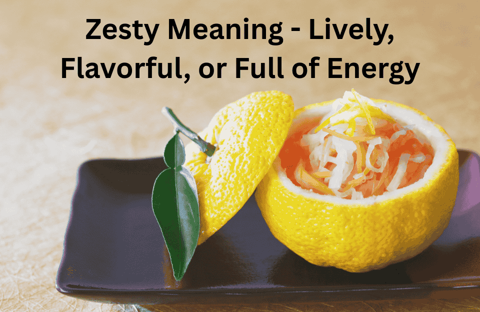 Zesty Meaning and Examples