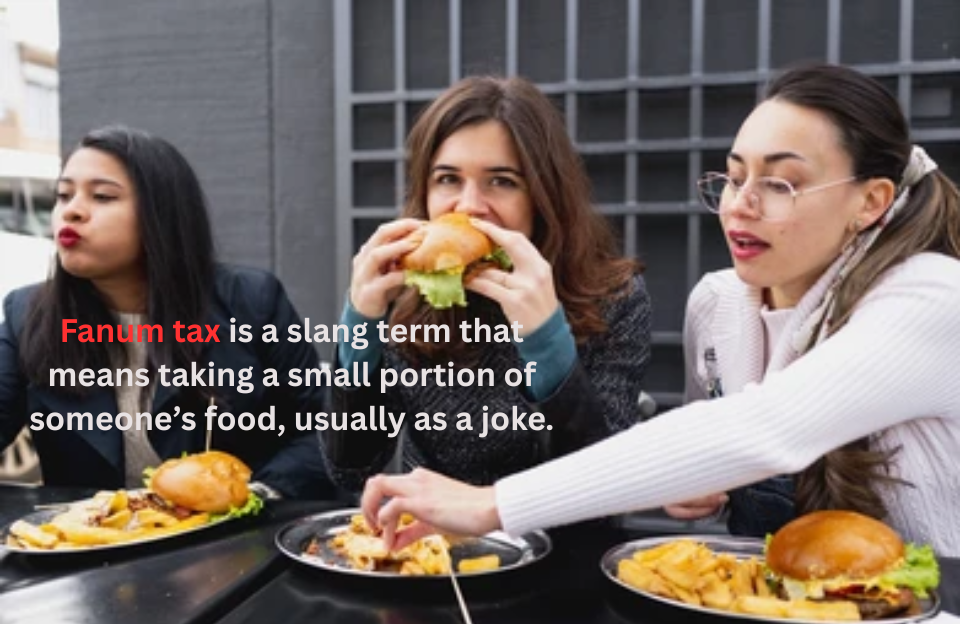 what does fanum tax mean